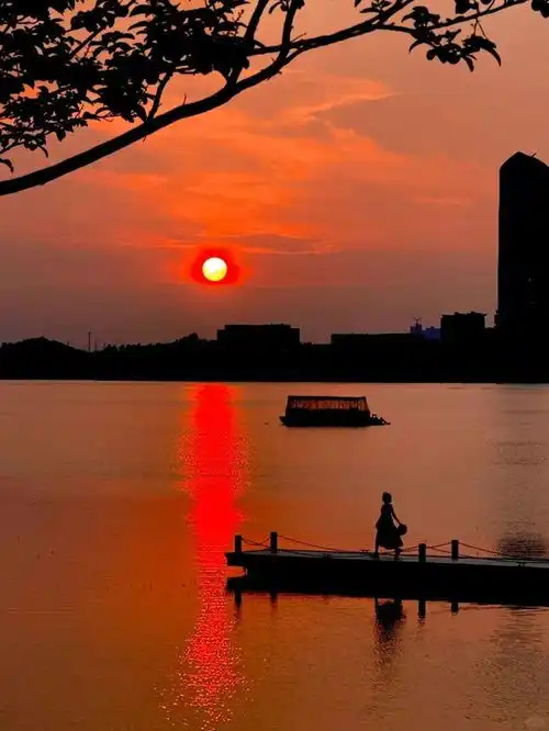 把夏夜调至四川频道,鹿晗新歌和四川的适配度无敌了