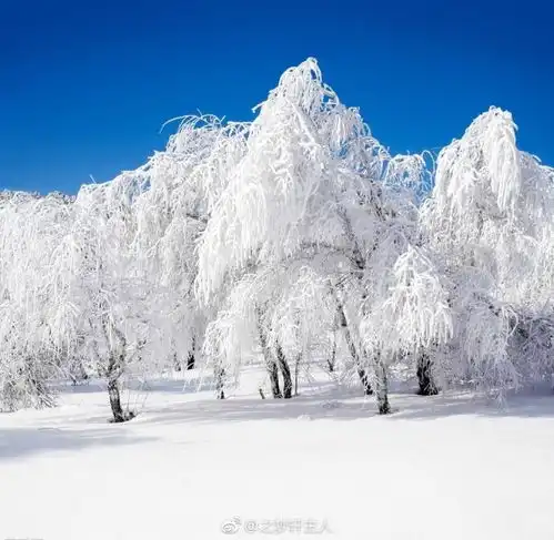 七言咏雪