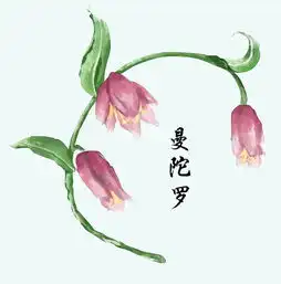 风物手绘中药cp图,原来可以这么美