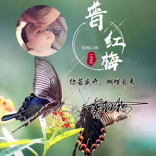 用你的姓氏和名字做头像,37款高清精致个性签名头像,不要错过