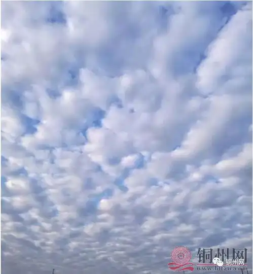 转晴啦来感受下北流小绵羊吧