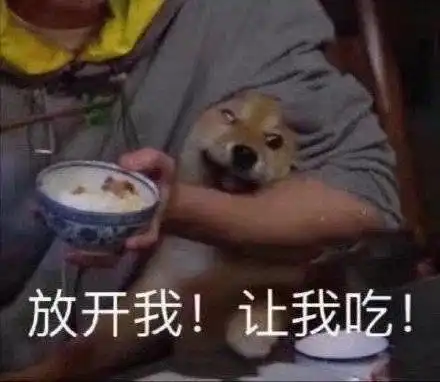 有哪些让你惊呼是我本人了的沙雕文案