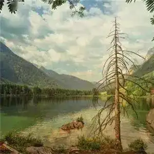 一批很赞的唯美风景图头像,超有意境哦