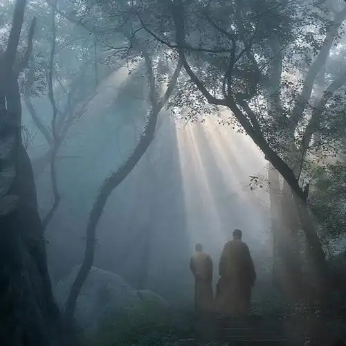 忽而立夏人生就是一场修行,只为在途中与你相见