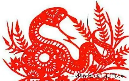 家人中有这4生肖,霉运不进家,好事不出门,2019年上上吉好运