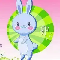 属兔本命年头像微信头像图片大全