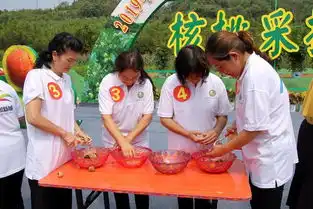 安康首届富硒核桃采摘活动旬阳白柳举行,十大百岁核桃王出炉
