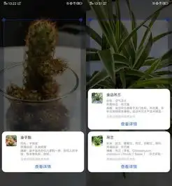 你还以为扫一扫只能刷二维码iqoo全新升级后,带来这些神操作