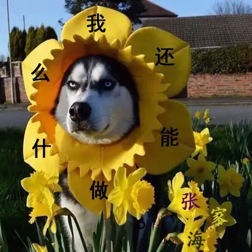 我还能做什么伴奏张家海高音质在线试听我还能做什么伴奏歌词歌曲下载酷狗音乐