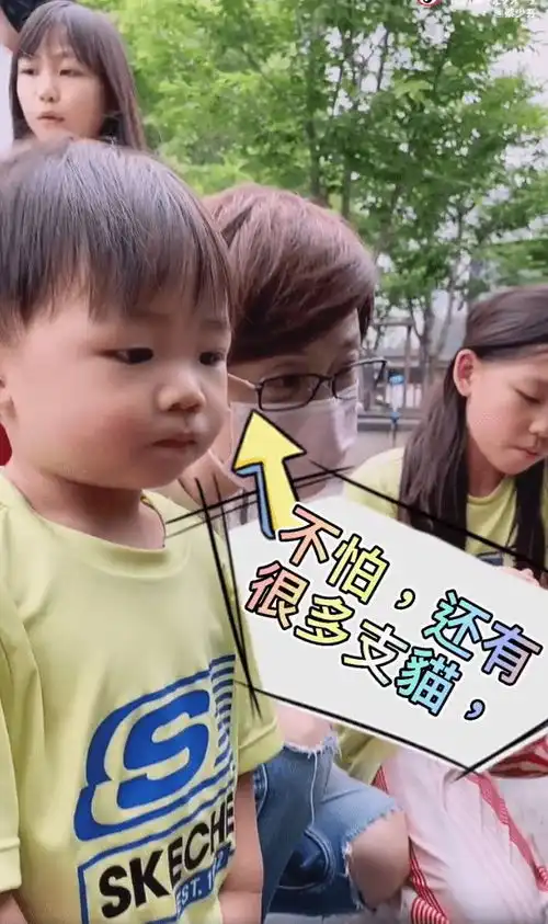 蔡少芬张晋携儿女喂流浪猫,一家五口幸福同框,鱼蛋小奶音超萌