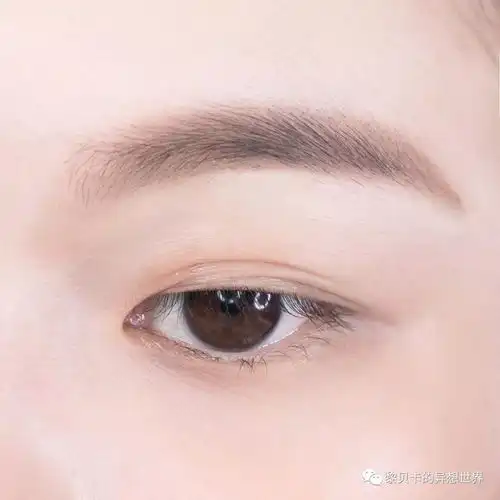 听说这样画眉毛,好感度更高