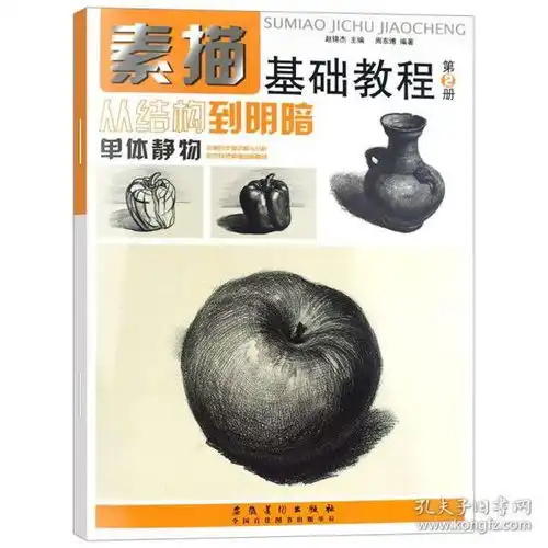 正版现货素描基础教程从结构到明暗2单体静物素描书入门自学素描的诀窍零基础结构素描书静物素描石膏几何体绘画入门美术教