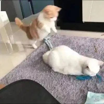 头像懂你的人,才配得上你的余生低头