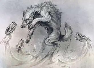 想求张狼的霸气图片