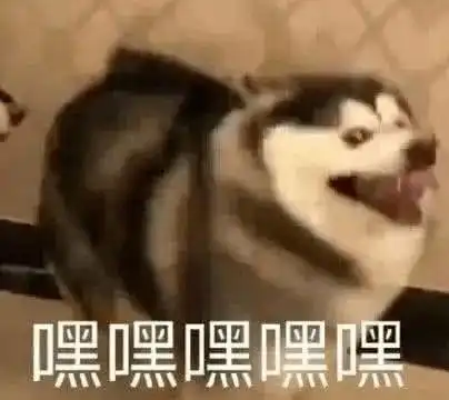 冬冬冬天到了,你还好吗