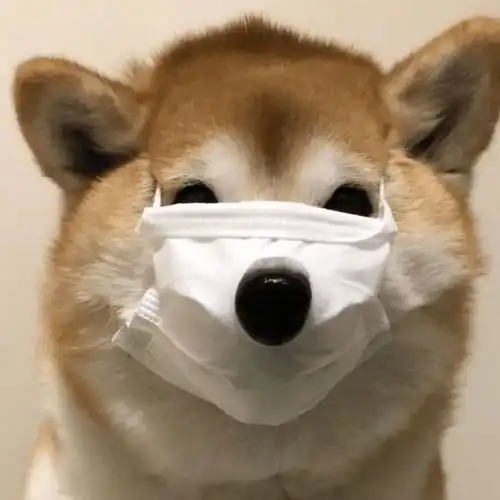 阴阳怪气的表情包
