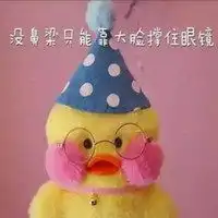 玻尿酸网红鸭情侣头像微信头像图片大全