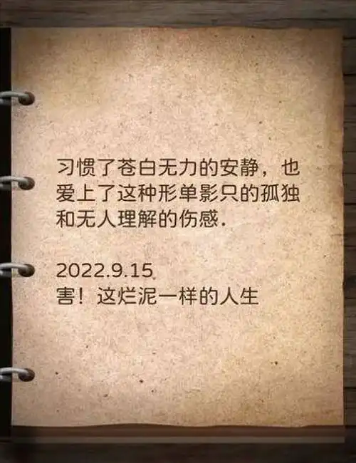 习惯了苍白无力的安静,也爱上了这种形单影只的孤独和无人理解的伤感今日文案创作灵感热评文案