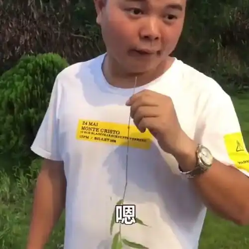 小伙在公园不文明,被大妈逮到,网友一看都是老司机