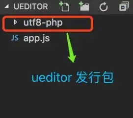 node.js零学习成本接入富文本编辑器ueditorneditor