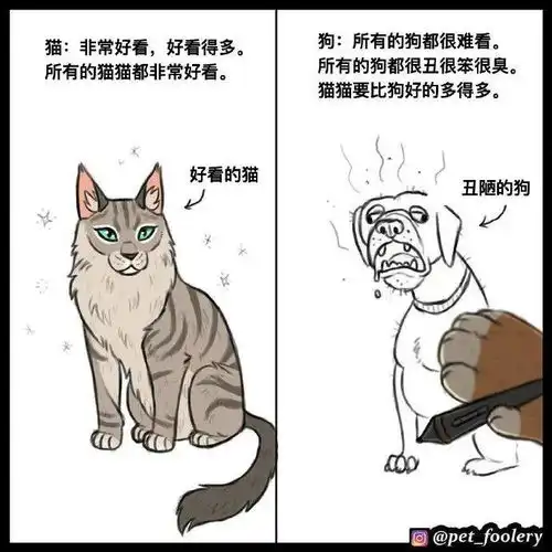 请大家都来了解下为什么猫咪要比狗狗好得多亮点在最后