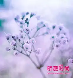生肖配对姻缘运势这些生肖配对在一起感情越来越淡