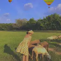 9家清迈宁...白龙马的小爪爪的此刻十六番