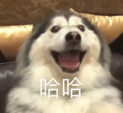 有哪些让人看完秒收藏的沙雕朋友圈文案