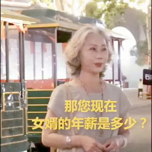 丈母娘期望女婿的年薪500万左右吧