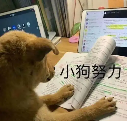 媒体邀约分为几种企业新品上市适合哪种形式的媒体邀约