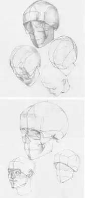 素描结构这样总可以好好学素描了吧