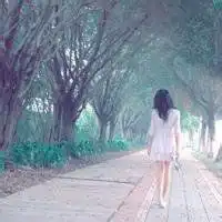 淑女背影头像图片大全微信头像图片大全
