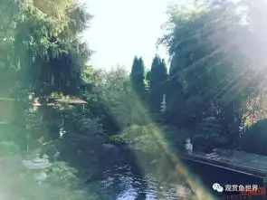 美就一个字之锦鲤一群美到爆可爱活泼到爆美爆的大家伙剧毒渗入