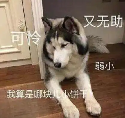 e姐小仙女一周造型红黑榜美女明星最害怕的不是胖而是土