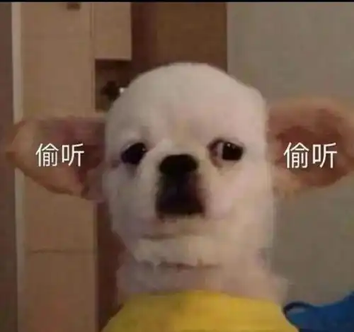 官宣马东锡与小17岁女友芮呈和结婚,网友马叔早就结婚了