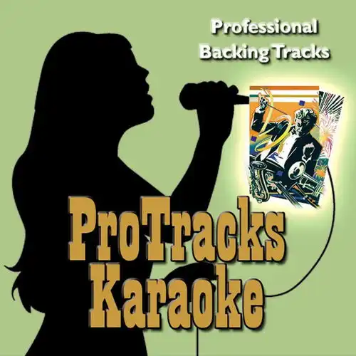 alwayscomebacktoyourlovekaraoke高音质在线试听alwayscomebacktoyourloveinthestyleof