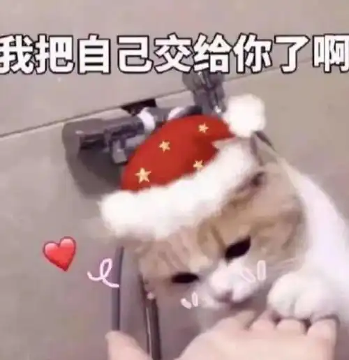 表情天天始终无比快乐