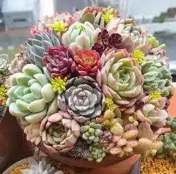 各个星座的人如何看待自己前任的进步近况