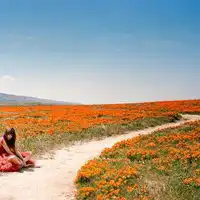 清爽的自然美,迷人的风景,唯美风景意境个性头像图片