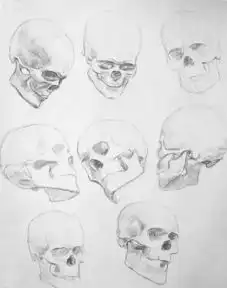素描结构这样总可以好好学素描了吧