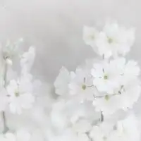 安静淡然的意境头像微信头像图片大全
