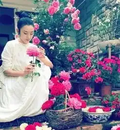 倘若我57岁,也想如杨丽萍一样优雅