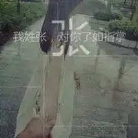 带有张字的图片头像大全微信头像图片大全