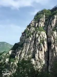 我从小就有个梦要到嵩山少林寺学武功