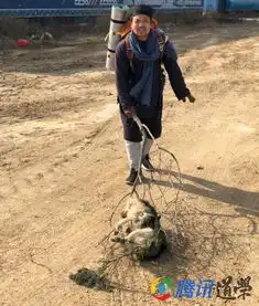 行脚问道,苦志修行中国道教学院研究生践行祖师精神