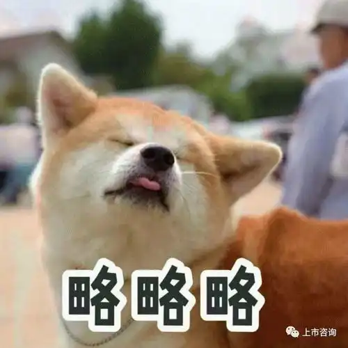 外媒尬聊狗年,刚说到属狗的年份就算不清了