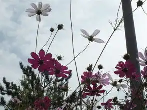 西游记拉萨游记攻略
