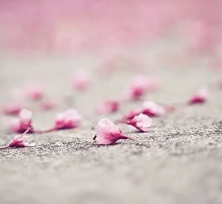 朗诵人生是一场修行