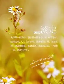 淡定花卉唯美背景海报图片设计素材高清psd模板下载11.95mb其他海报大全