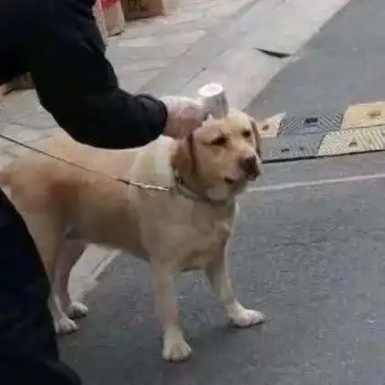 为了减少与病毒接触沙雕网友各显神通